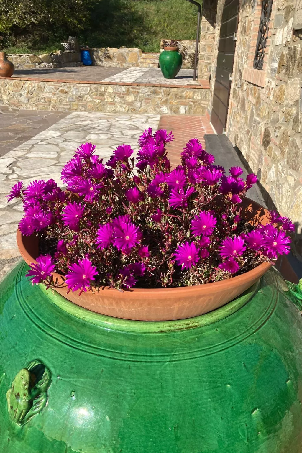 Podere Lo Zolfo-Buiten