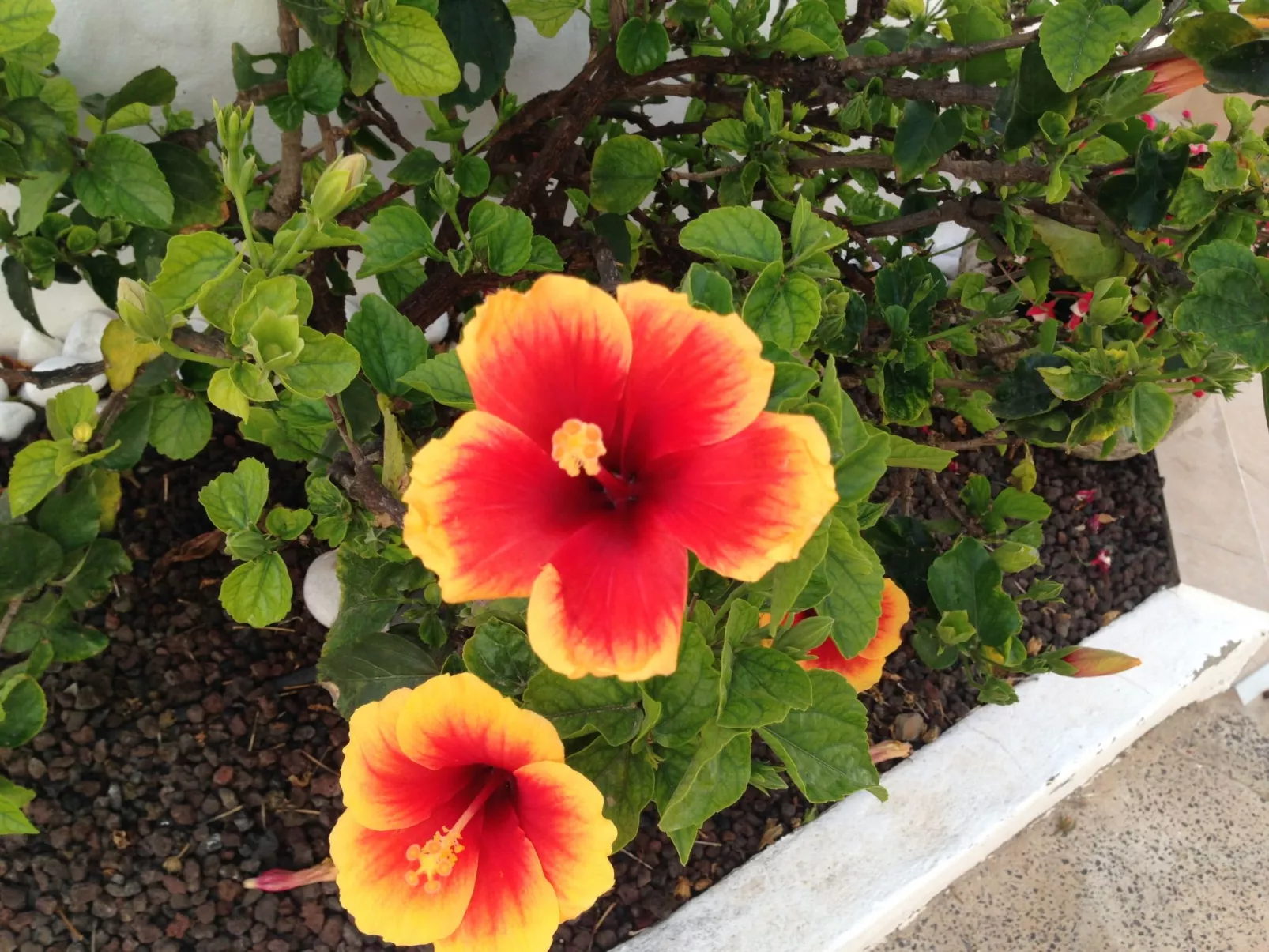 "Jandia" mit Wasserblick-Buiten