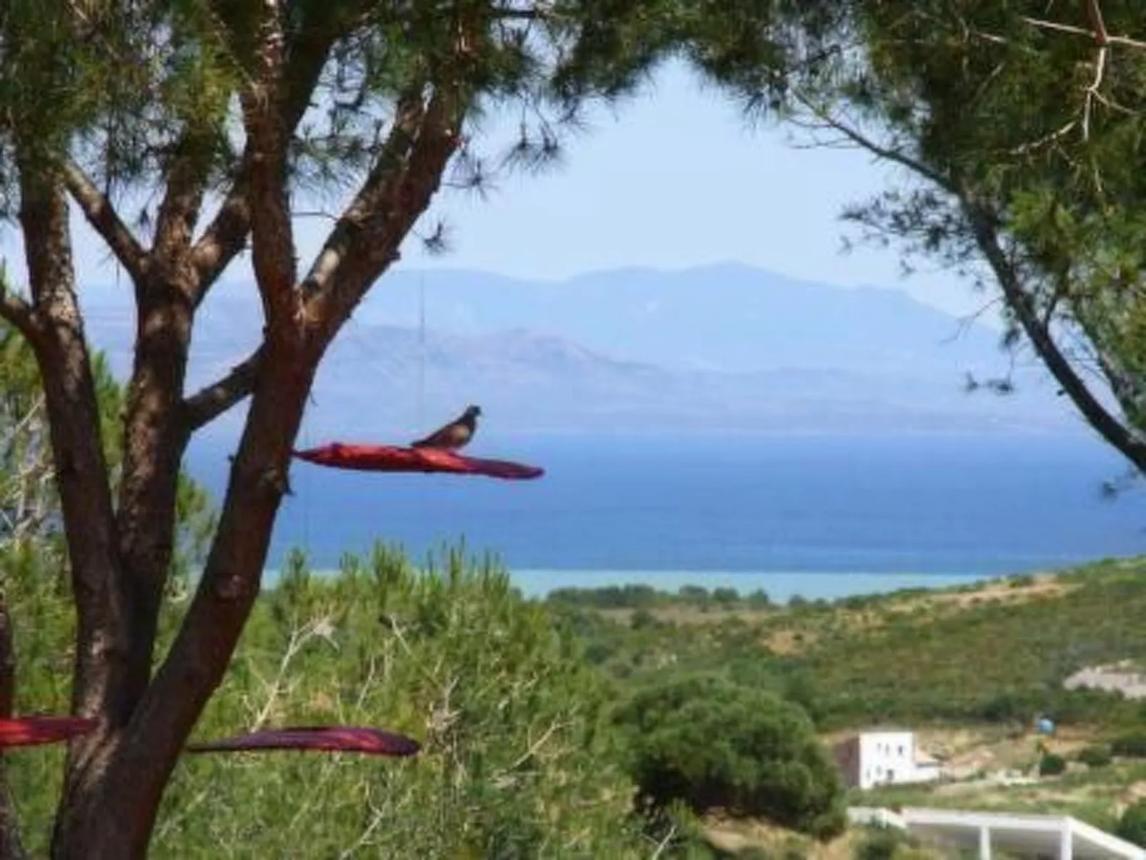 'Luciana' mit Wasserblick-Buiten