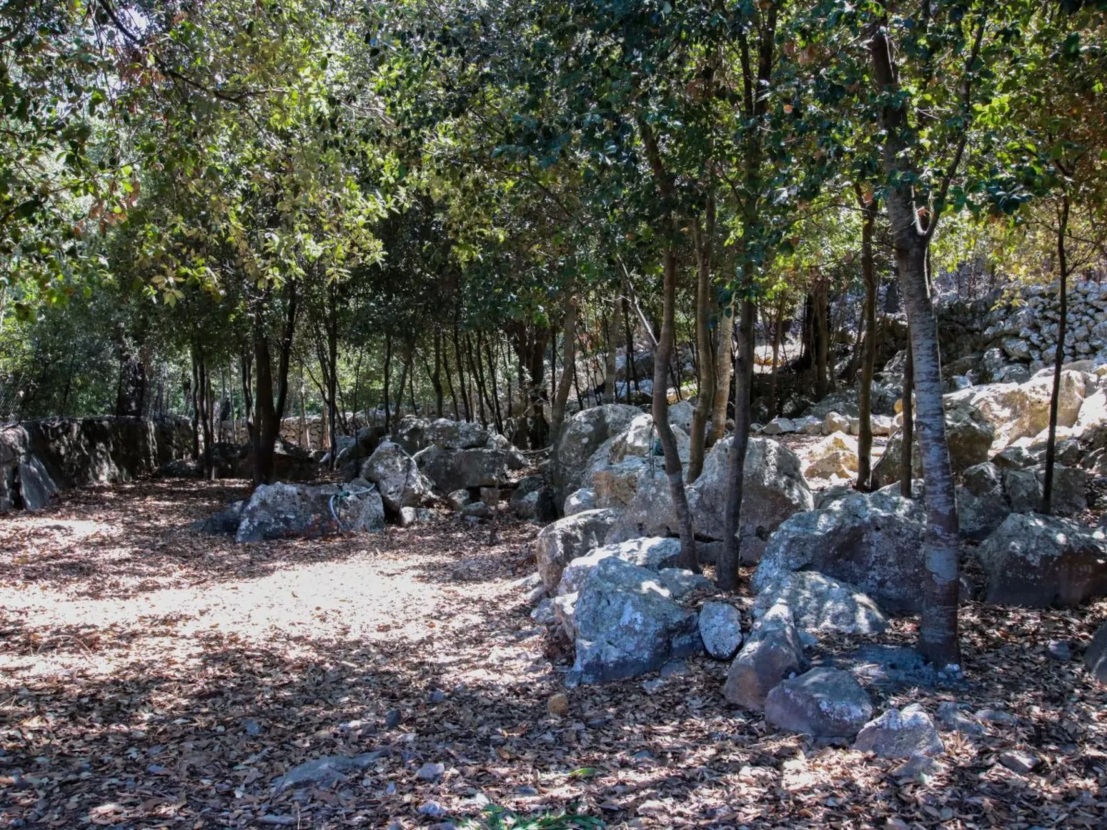 Prächtiges Landhaus mit spektakulärer Aussicht-Image-tags.info