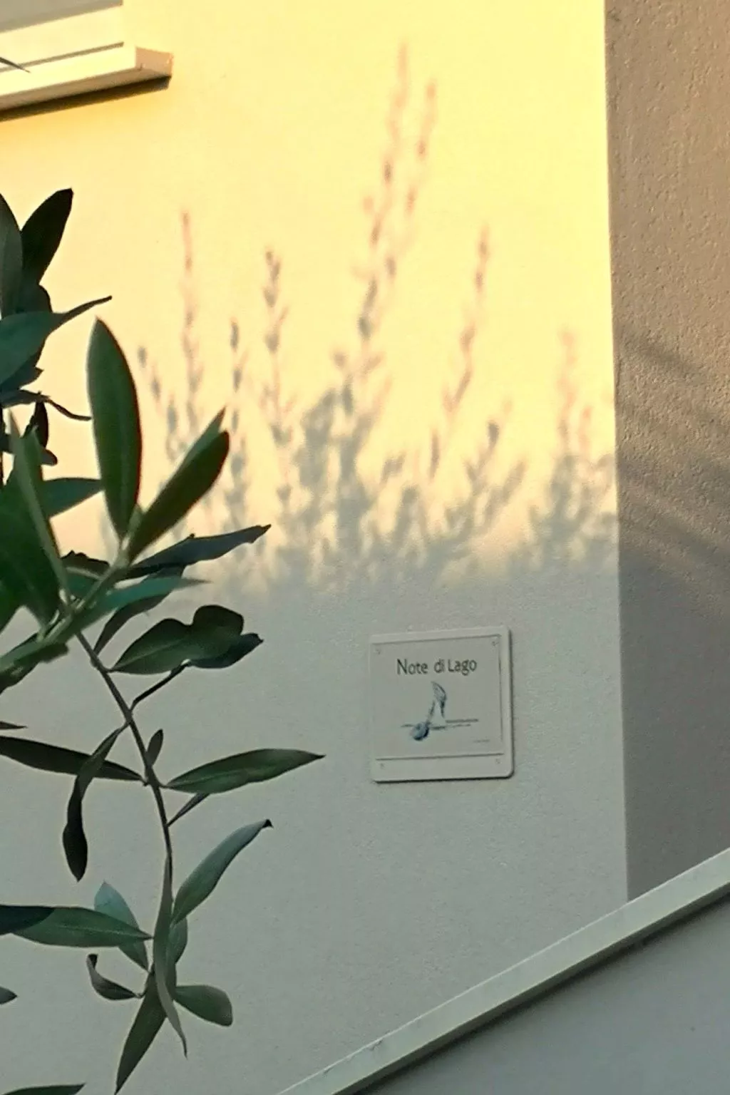 Freifläche mit direktem Zugang zum Strand-Buiten