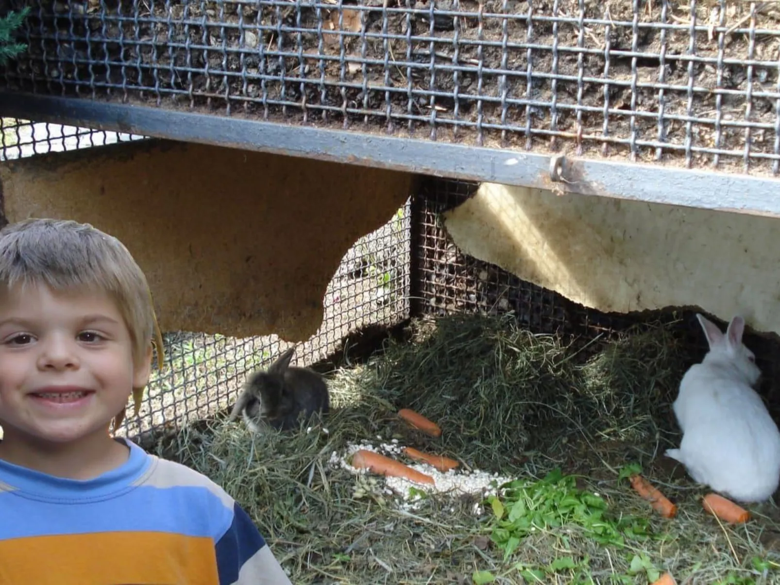 Rosato-Image-tags.info