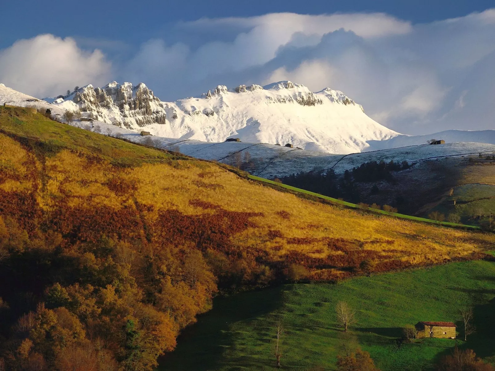 Fachwerkhaus mit Garten-Image-tags.info