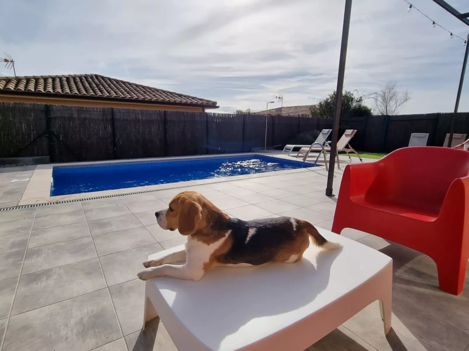 Modernes Einfamilienhaus mit Pool-Buiten