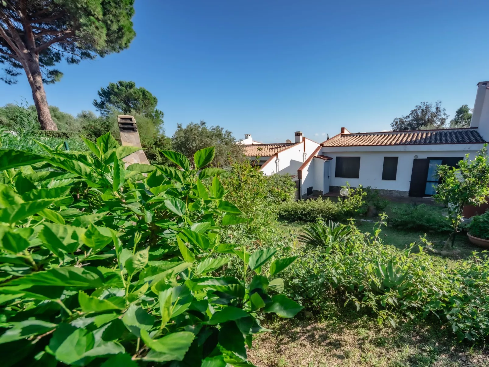 Haus in Costa Rei mit Terrasse, Garten und Grill-Image-tags.info