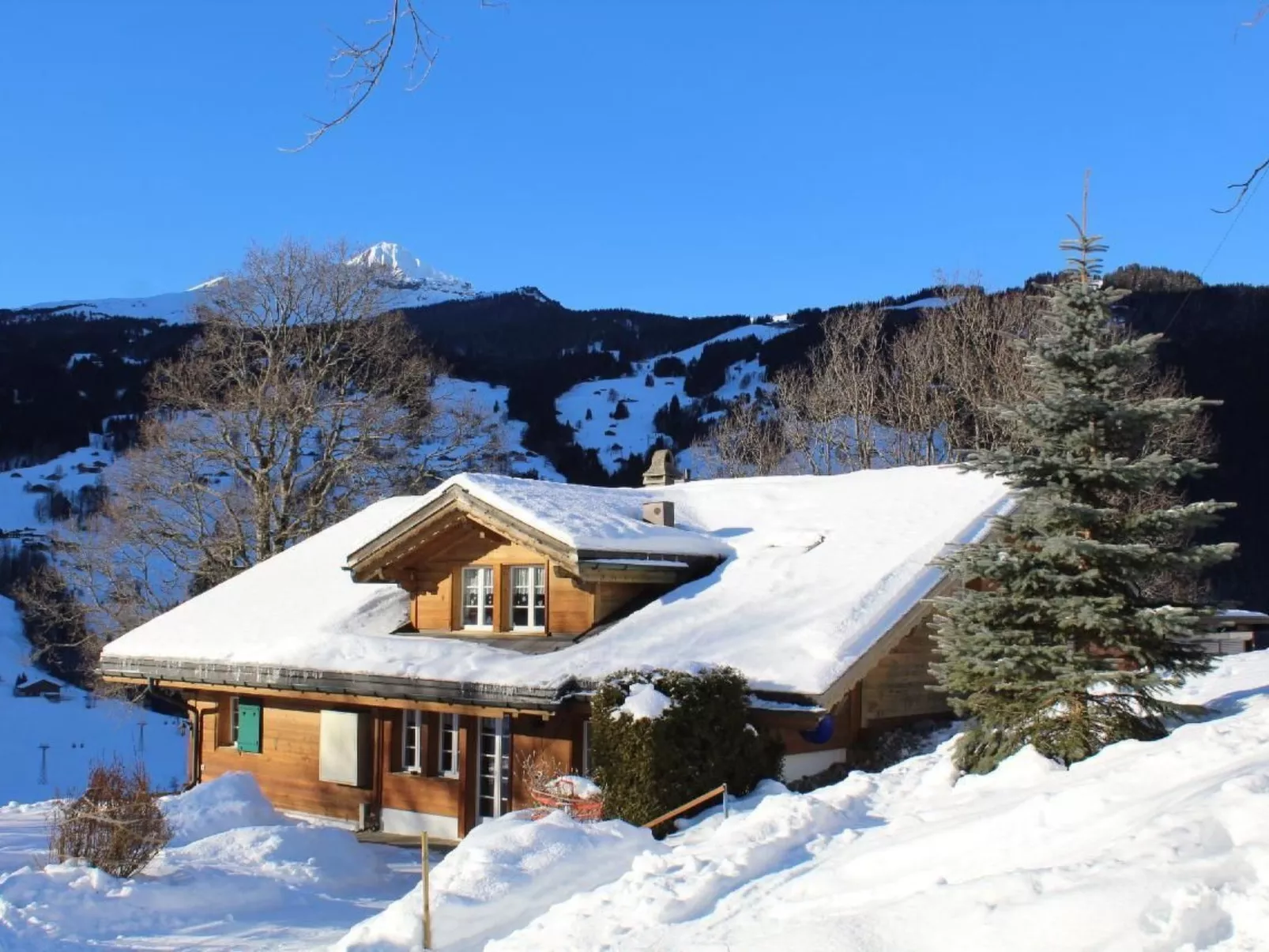 Chalet Herrschaft 4 Bett Wohnung-Buiten