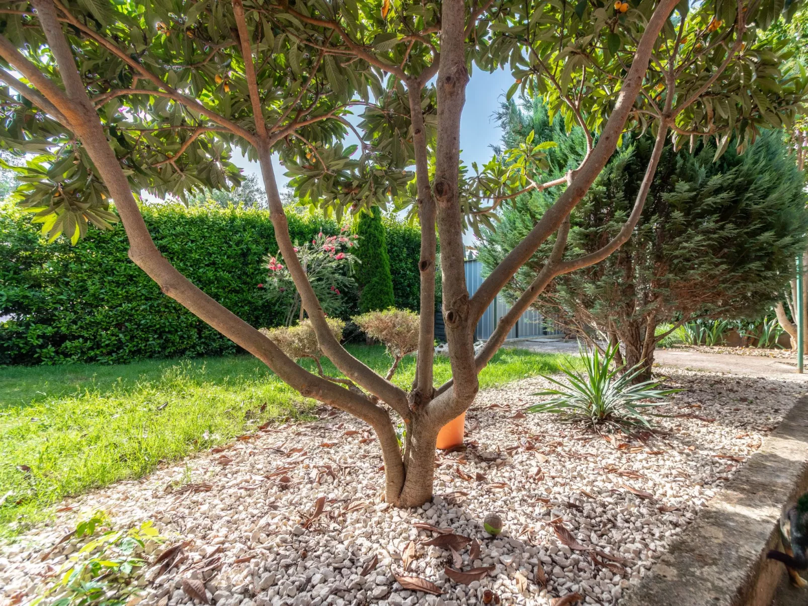 "Arijana1" mit privater Terrasse-Image-tags.info