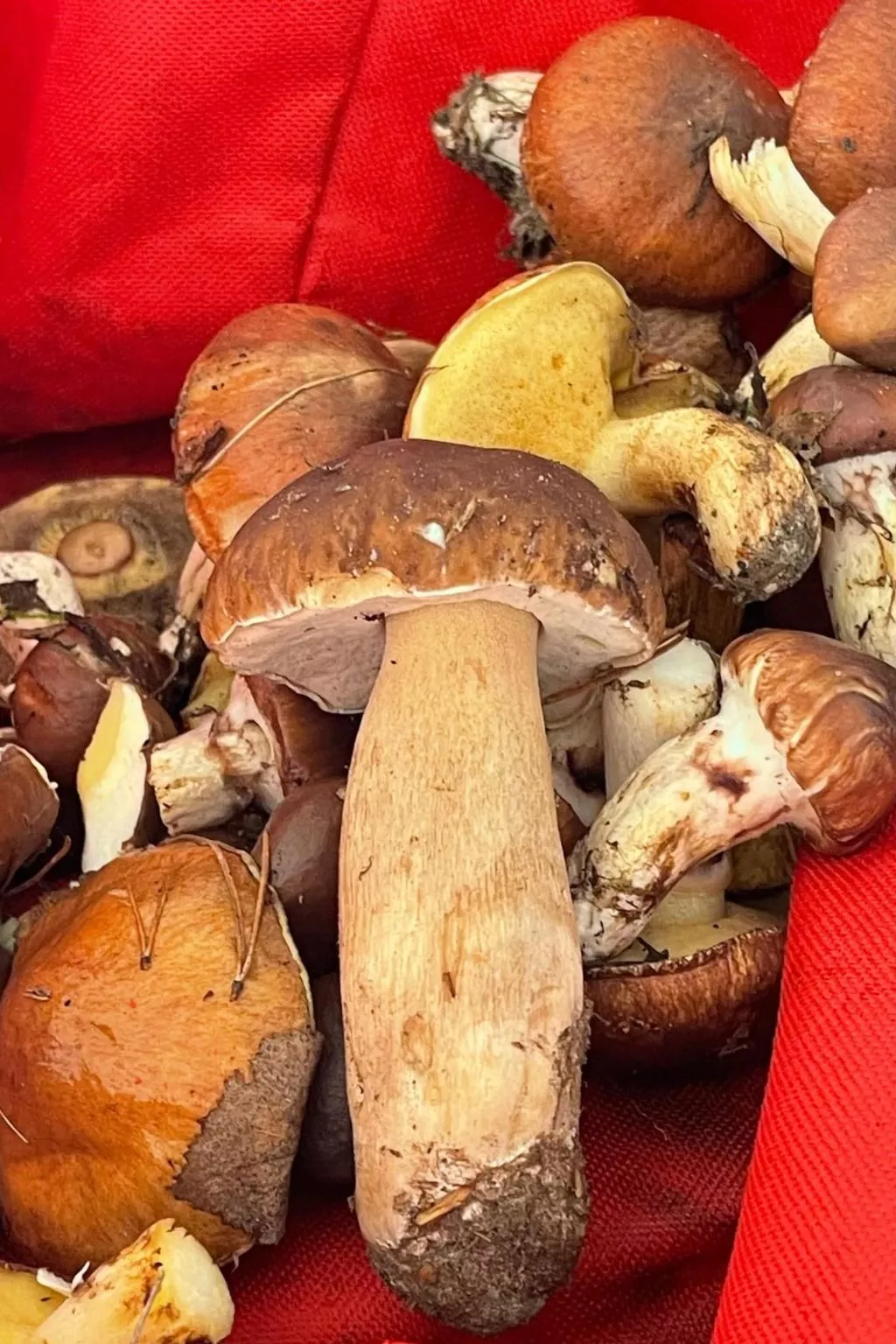 Vogelecke - abseits des Trubels und der Hektik-Image-tags.info