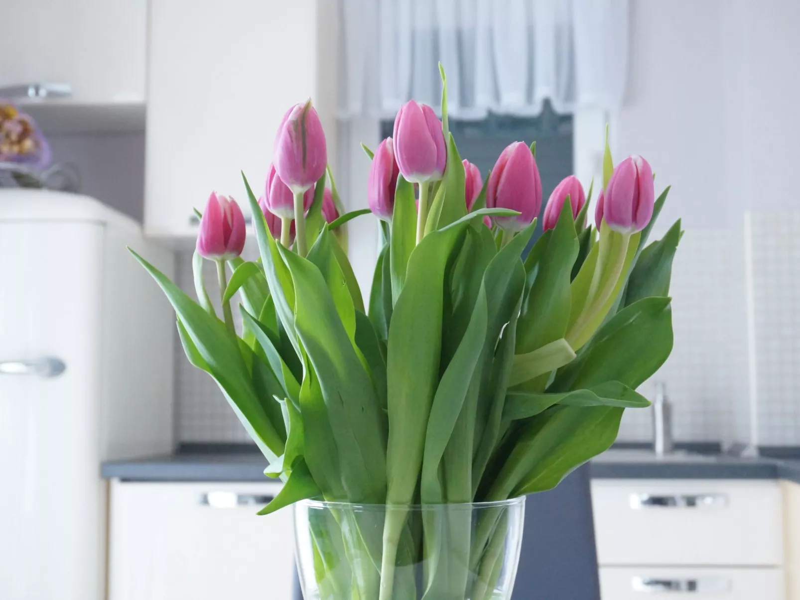 In Veliko Brdo mit Privatem Pool-Binnen