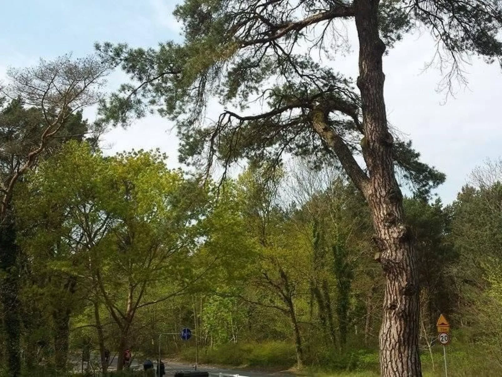 FeWo erste Reihe-Buiten