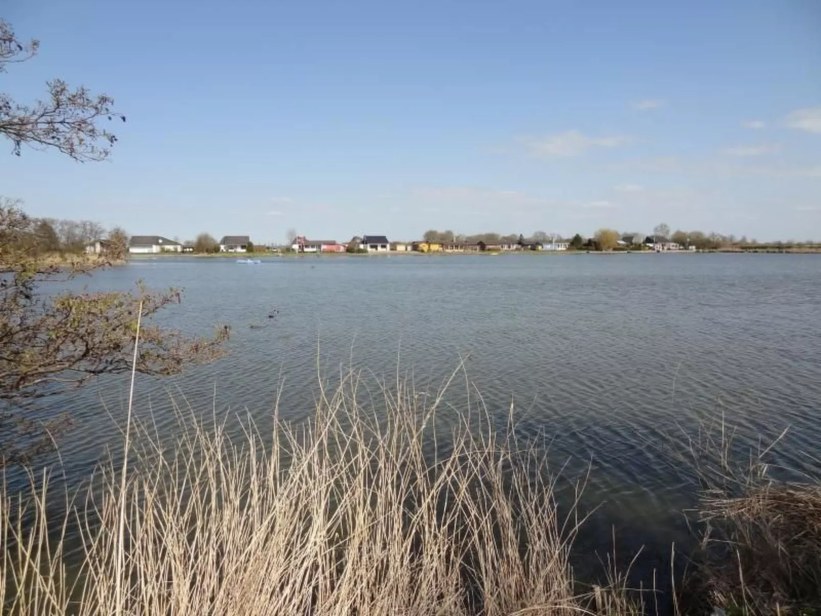 Eul in Butjadingen-Großwürden-Buiten