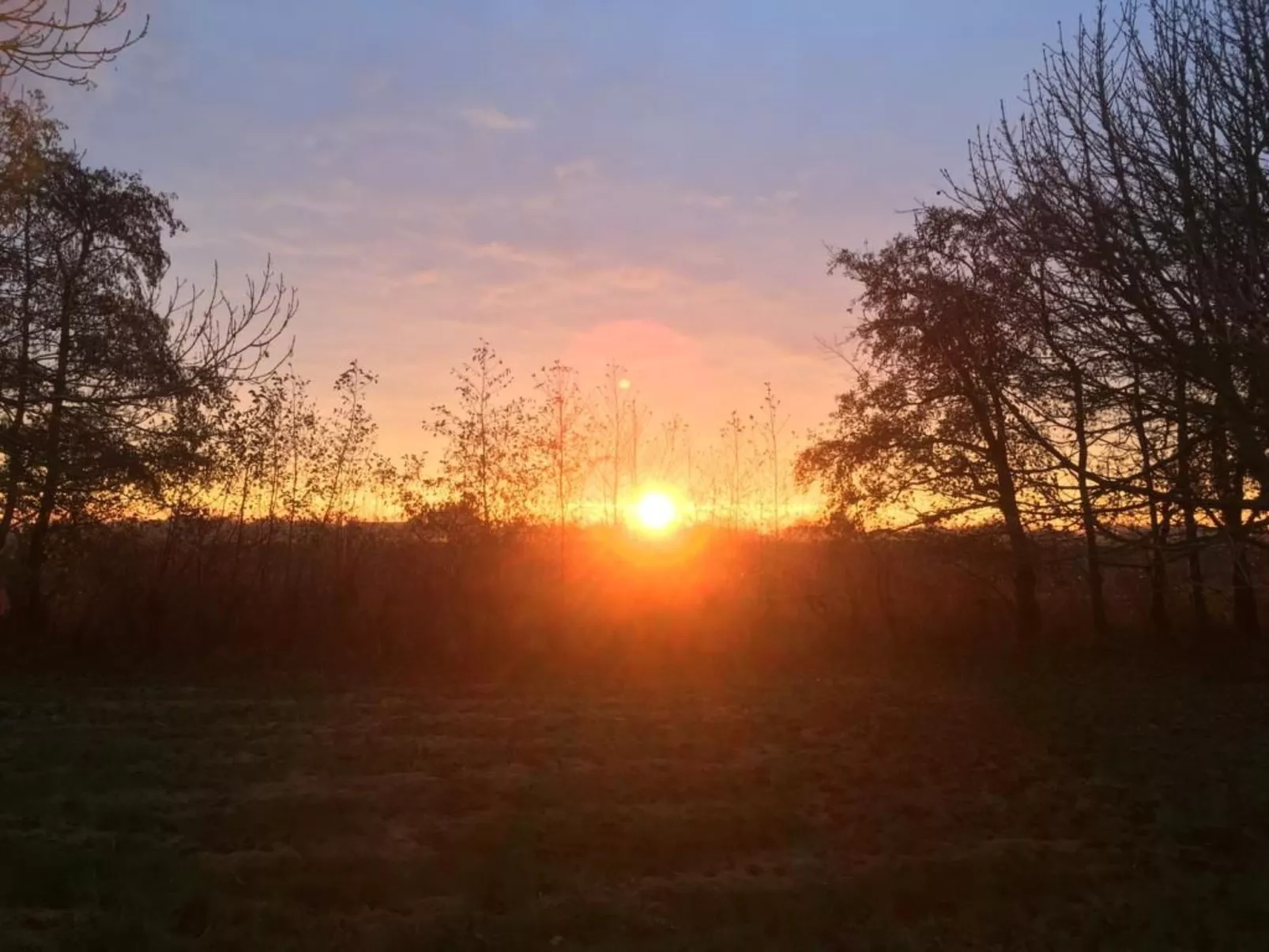 Deichhof Tossens-Buiten