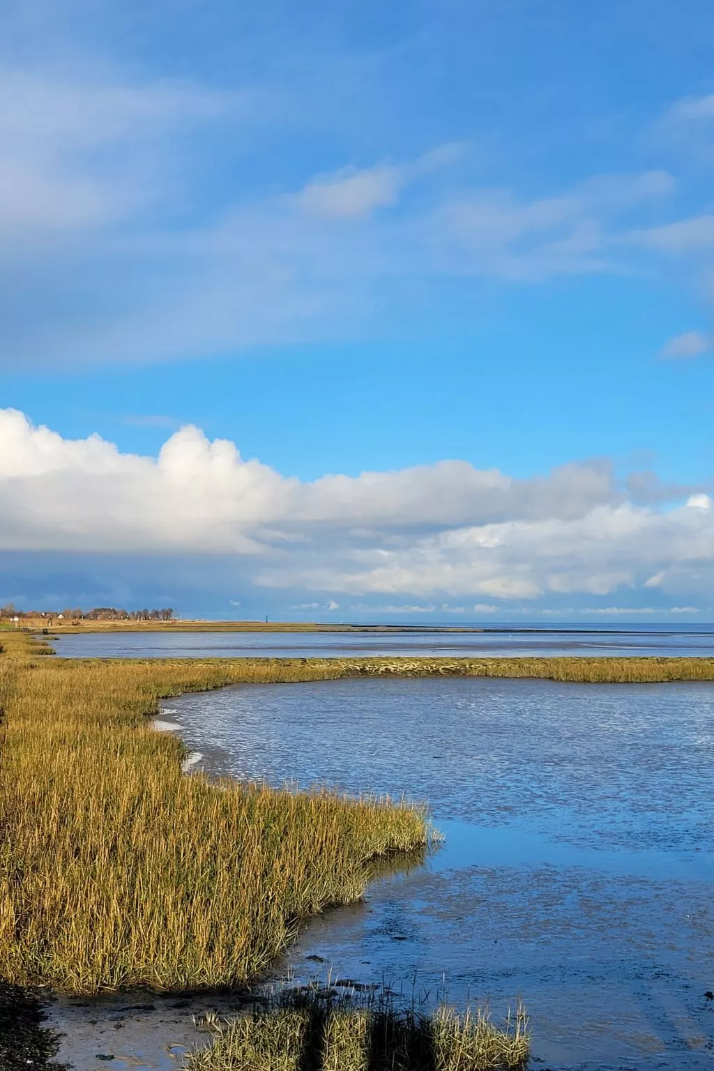 In der Nähe  vom Deich und Strand-Buiten
