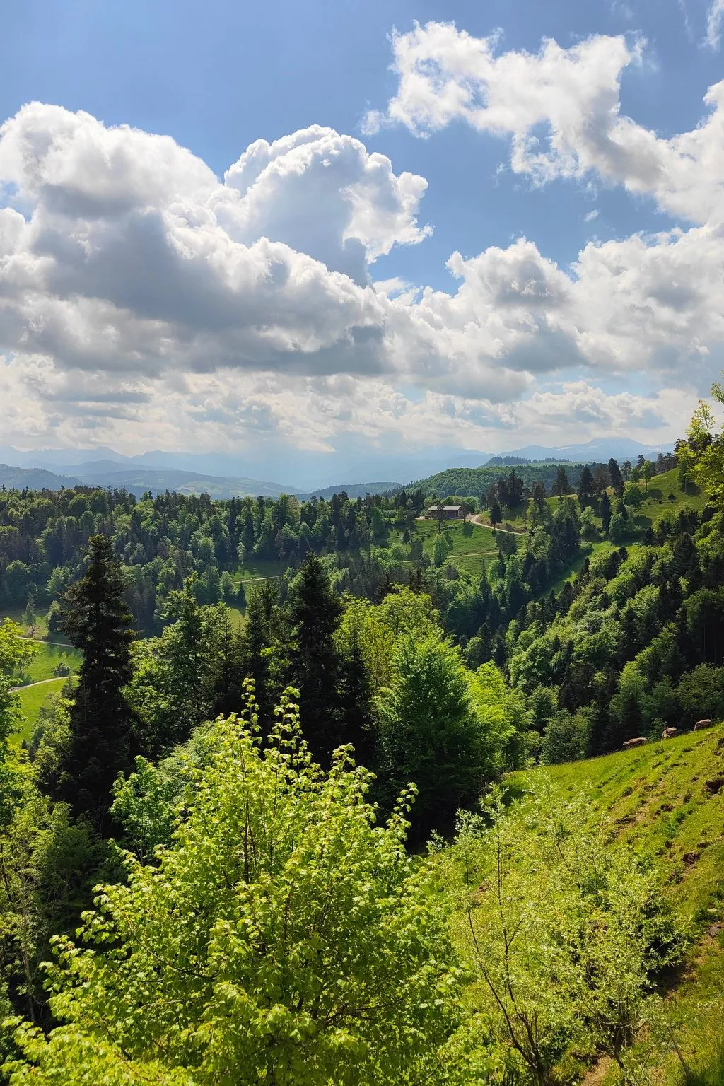 Schlosshöchi-Buiten