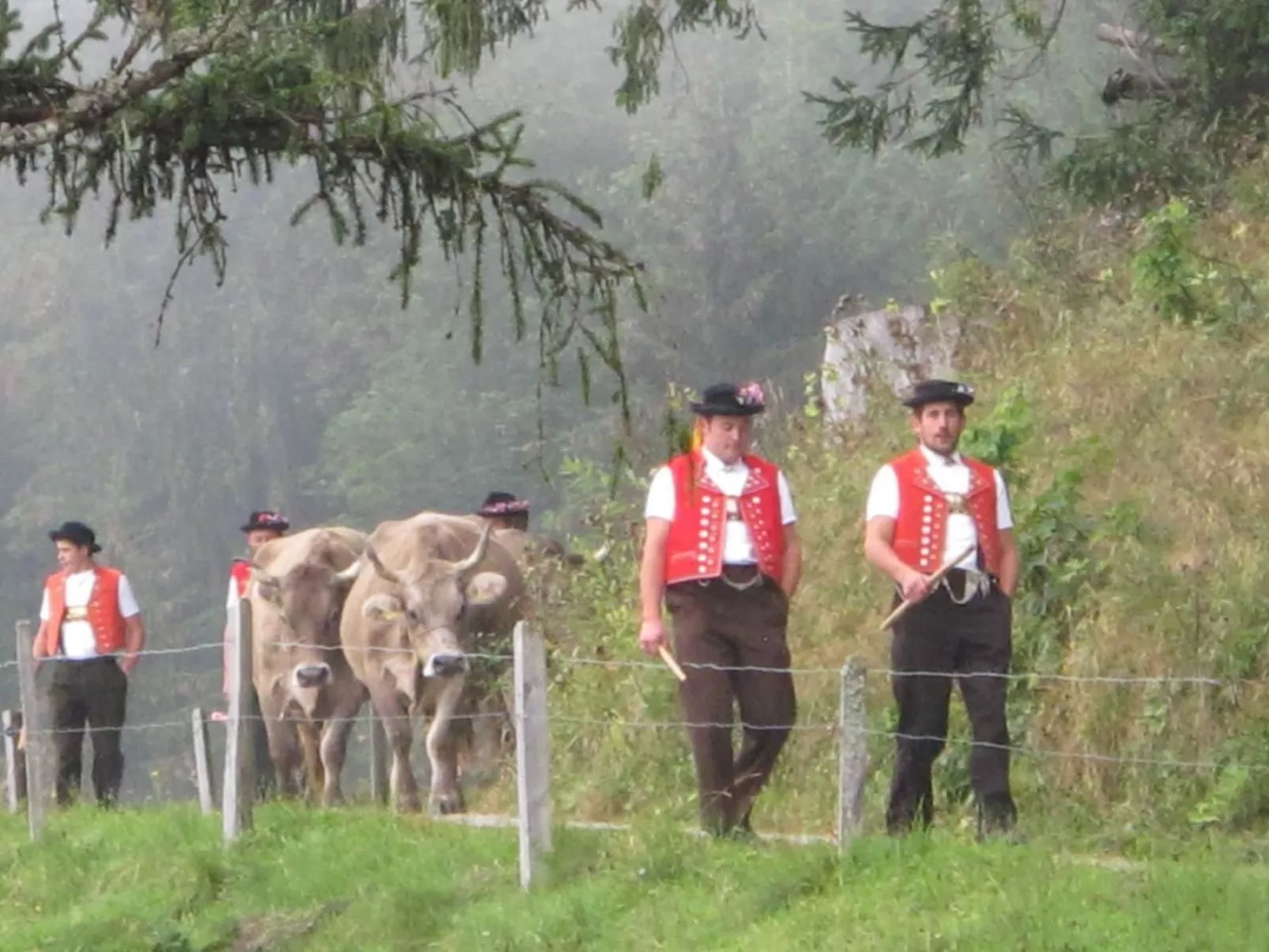 Perfekt-Image-tags.info