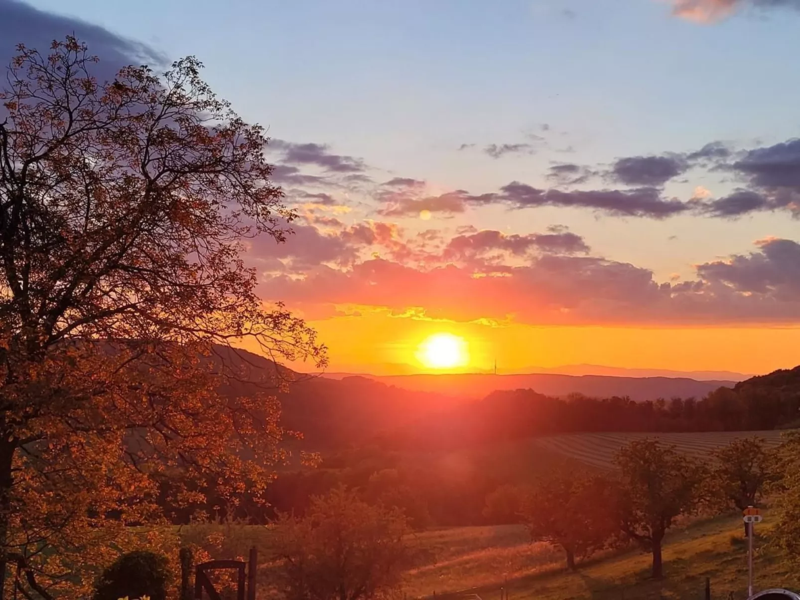 Chalet Staufenhof-Image-tags.info