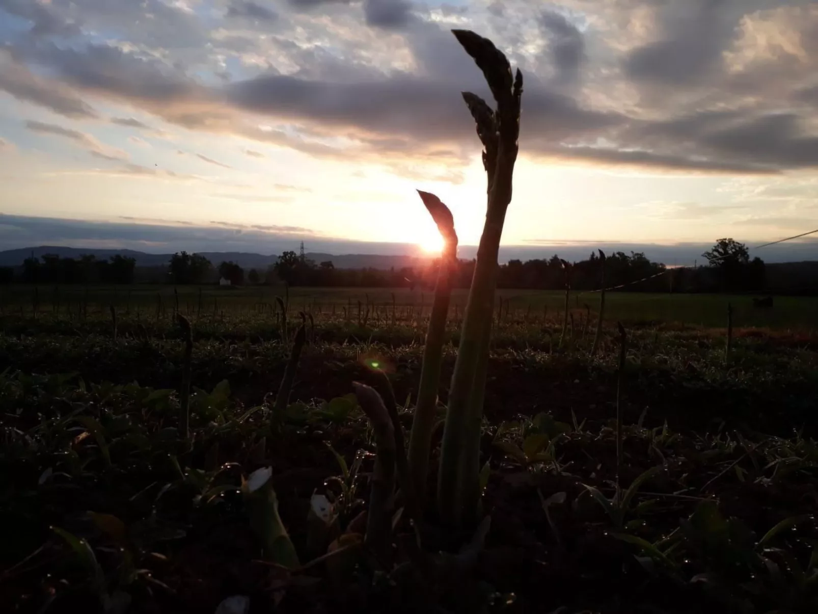 Sidlers Neuhof-Buiten