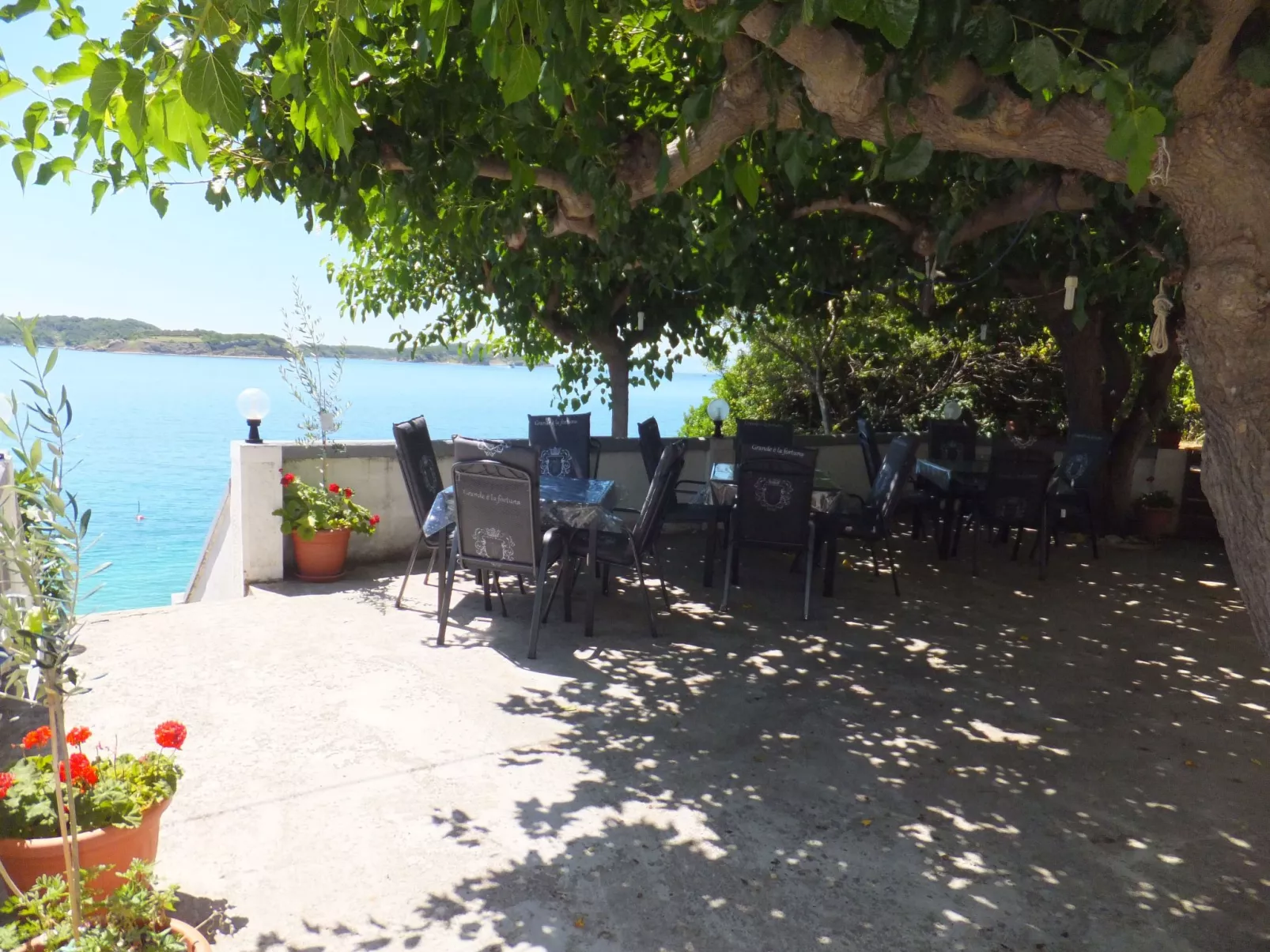 "Appartement 1"-Buiten