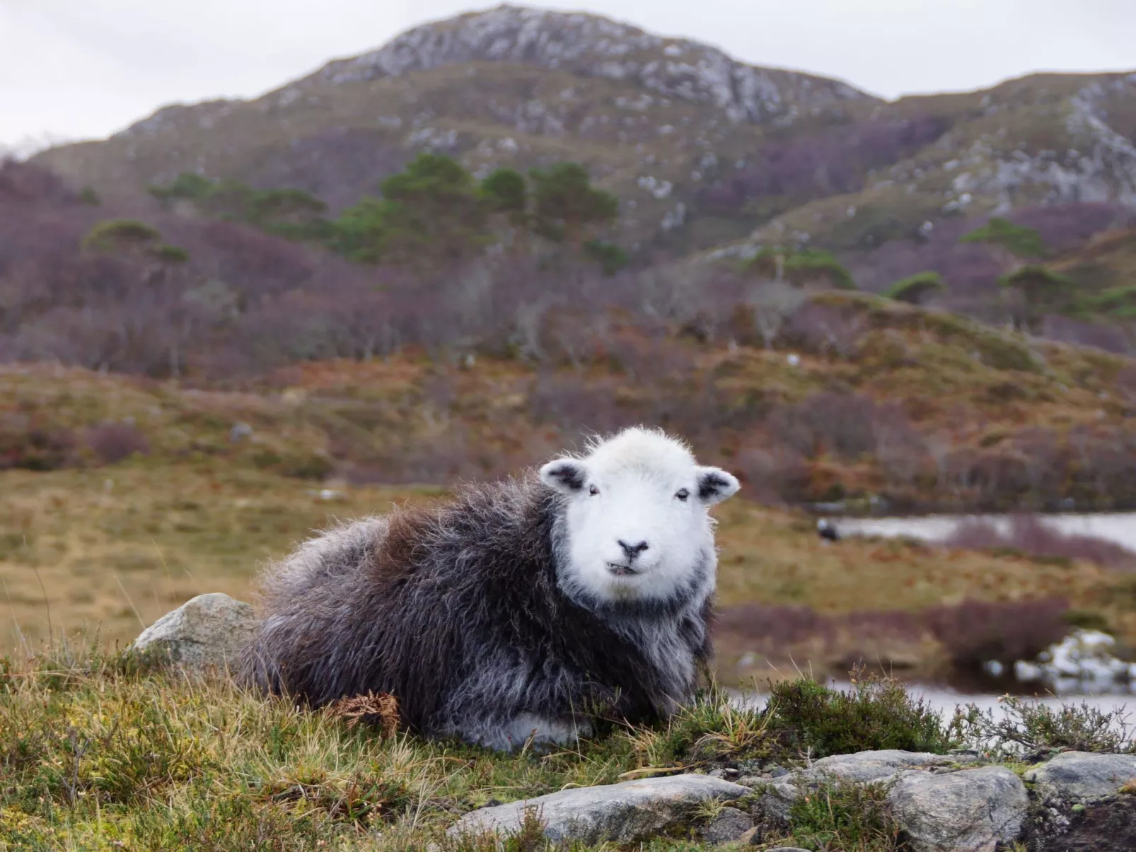 West Horizon Ferienhaus-Buiten