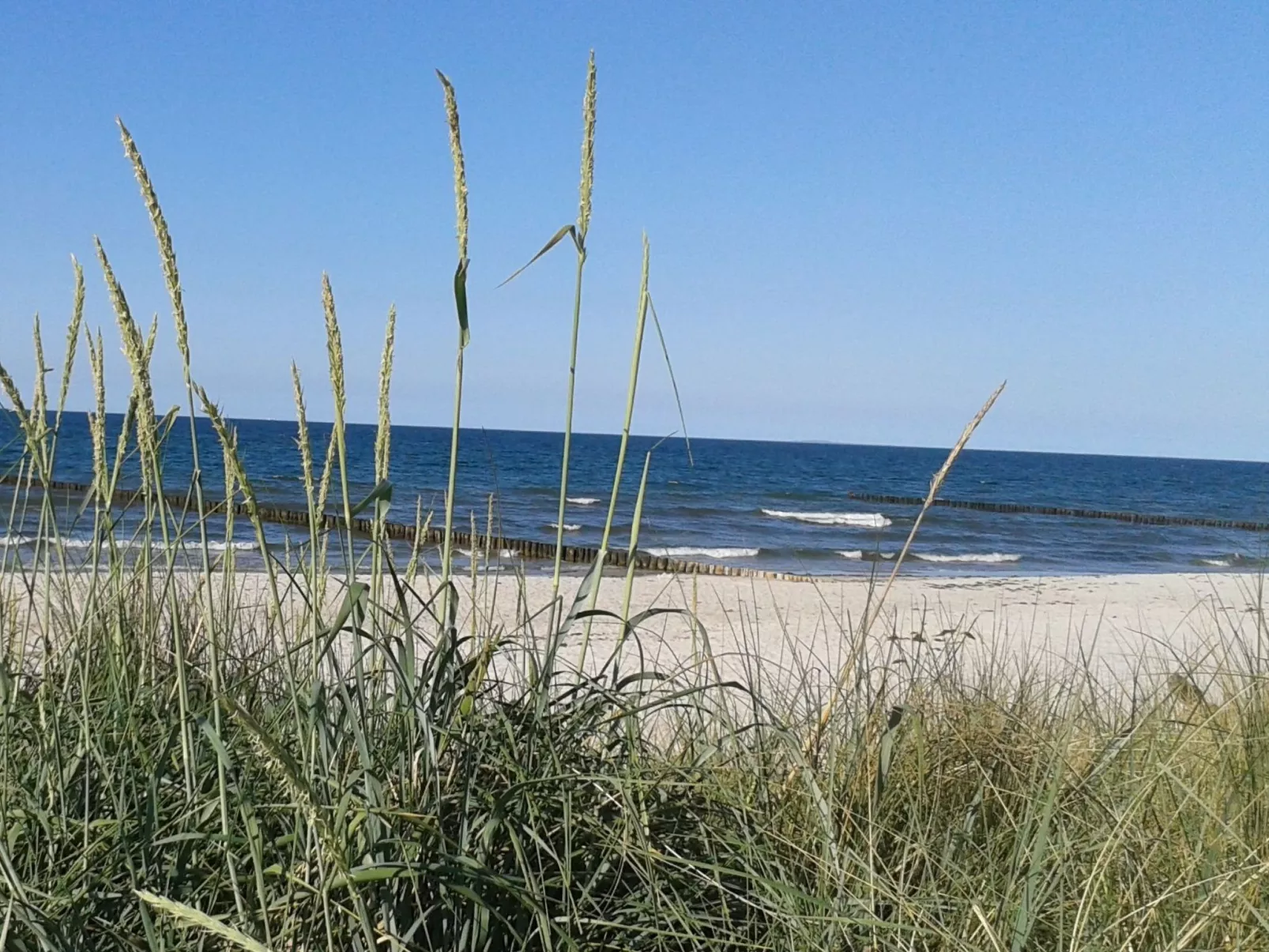 Janet Ratschkowski-Buiten