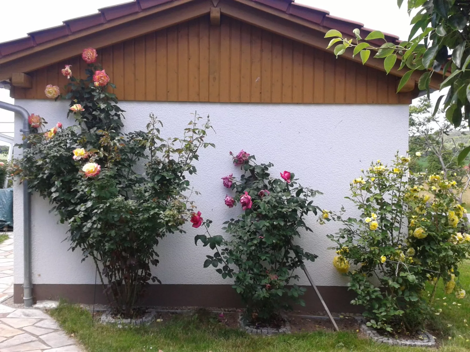 Gemütliche Ferienwohnung mit Garten-Image-tags.info