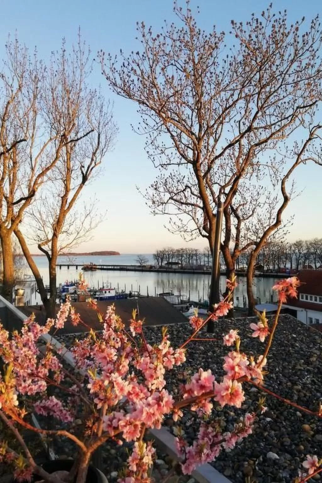 Boddenblick-Vilm-Buiten