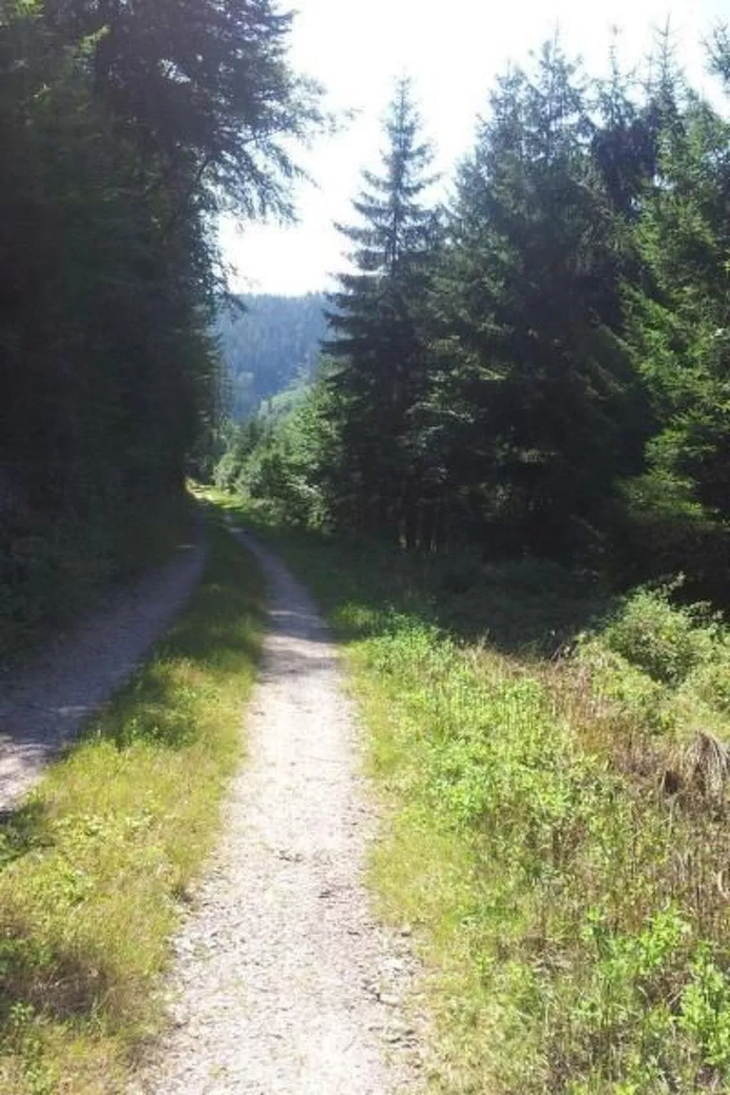 Miltenberg-Image-tags.info