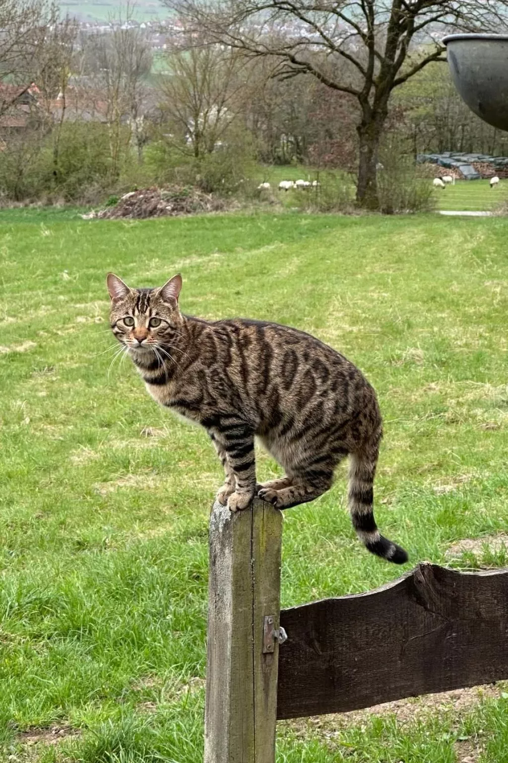 Fewo. Liebelt-Buiten