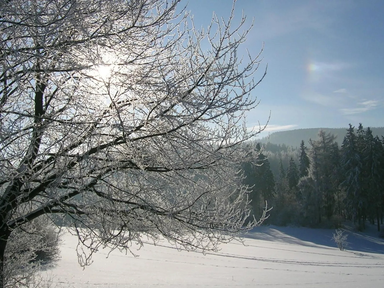 Kleine, gemütliche Ferienwohnung im Erholungsort-Buiten