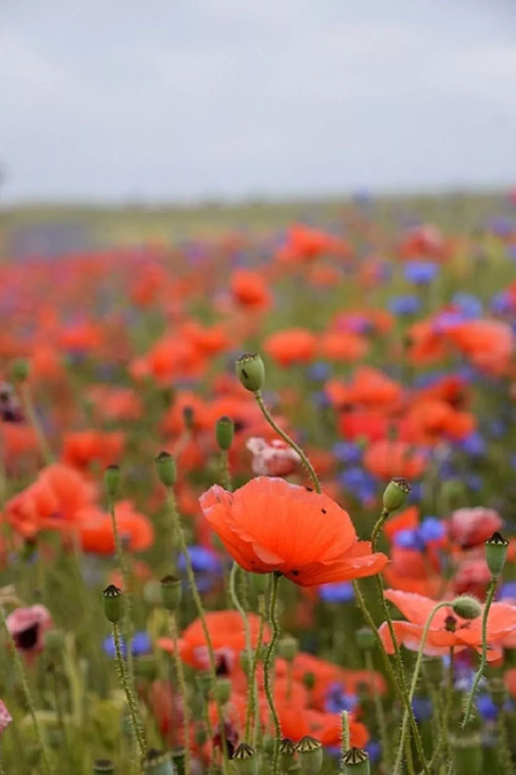 Stadt Apartement-Buiten