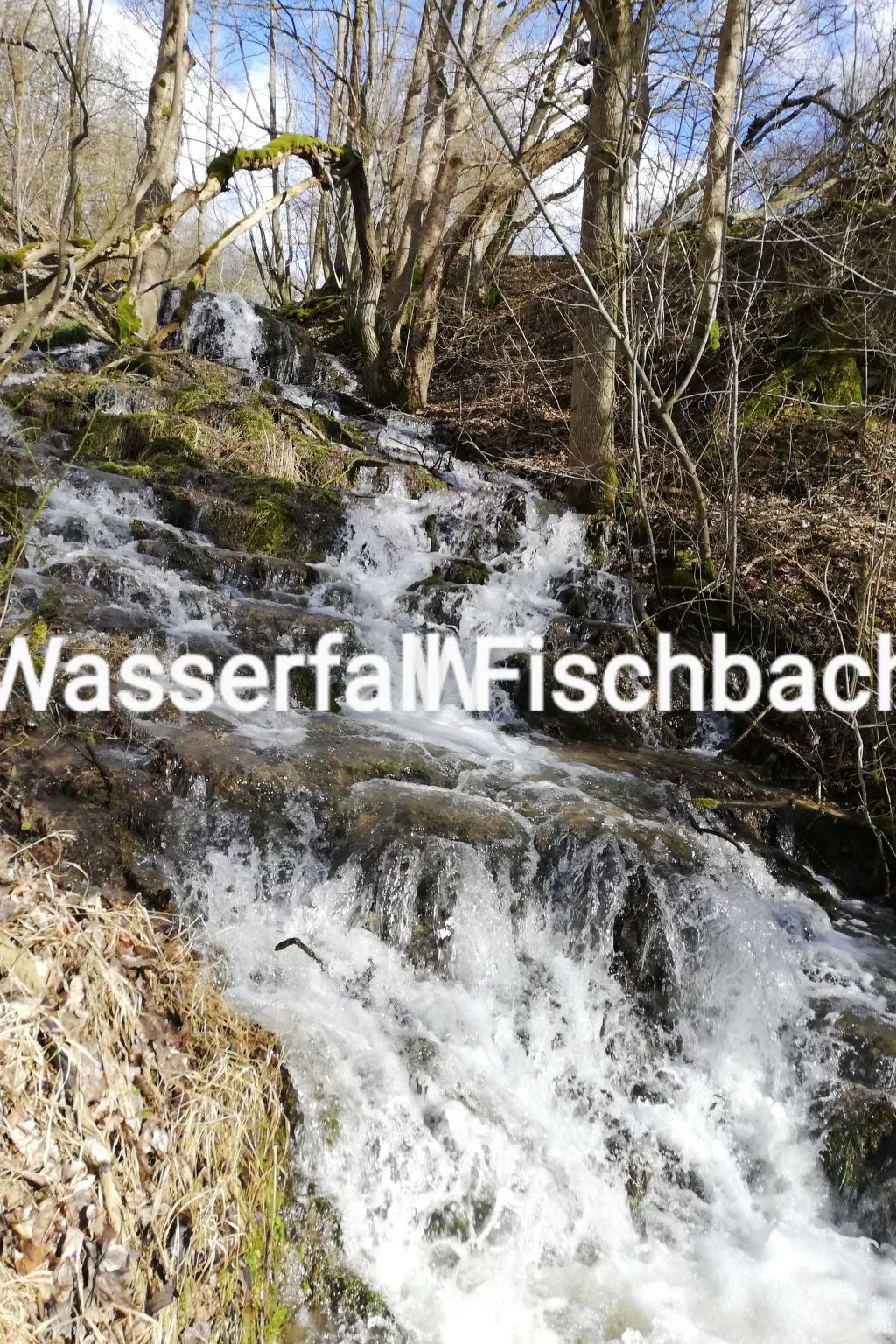 Gemütliches Ferienhaus in Fischbach Rhön-Buiten
