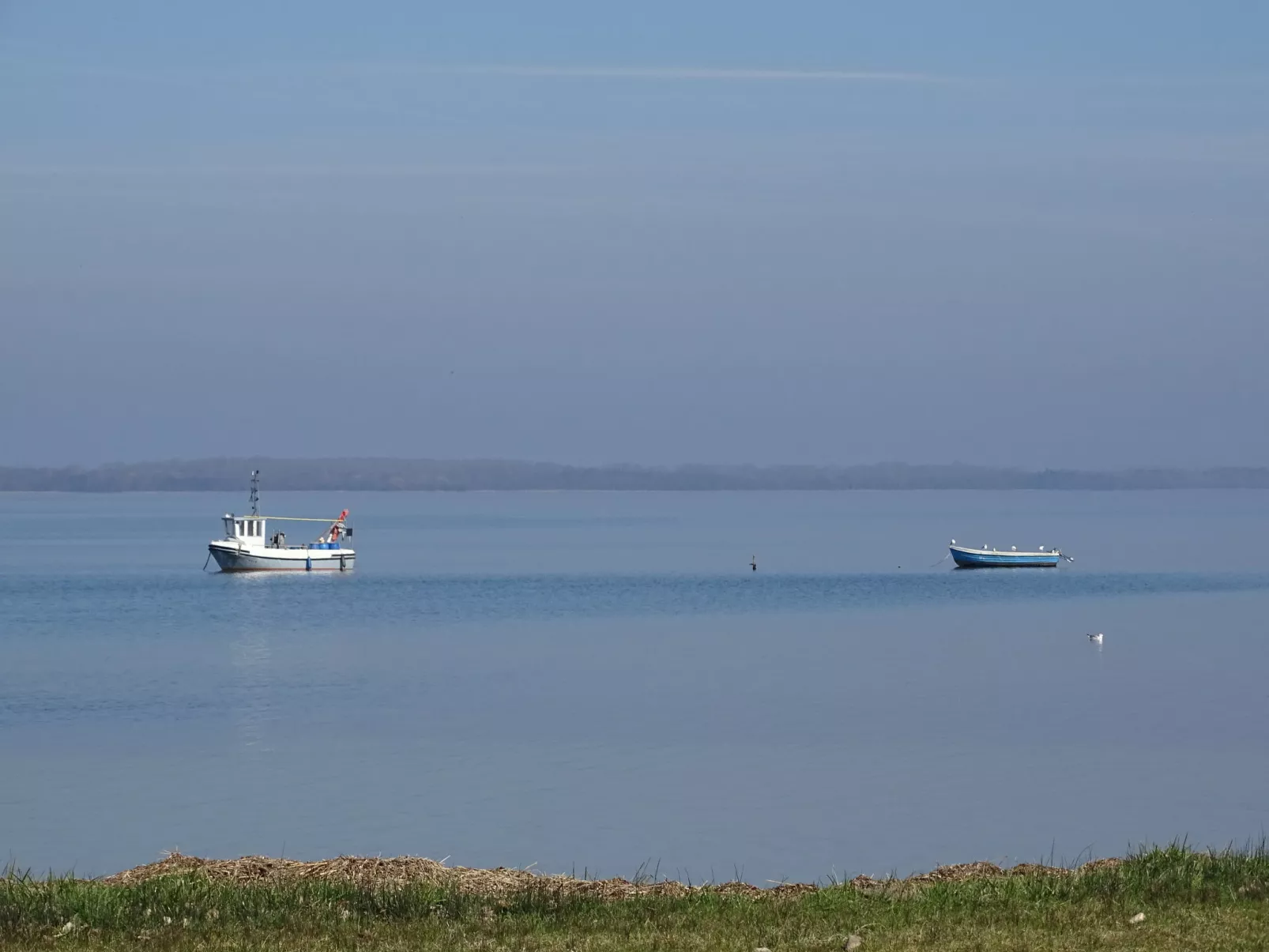 FH Salzhaff-Urlaub-Omgeving