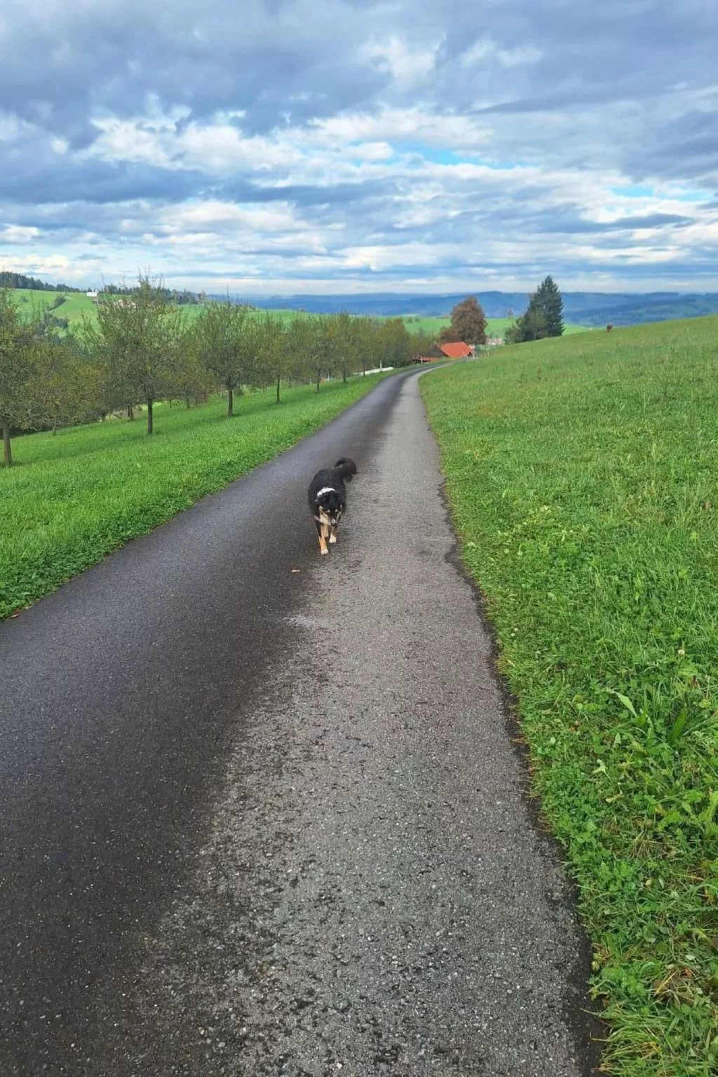 Unter Alpetli-Buiten
