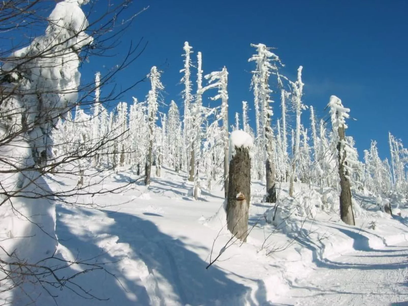 Gottal-Image-tags.info