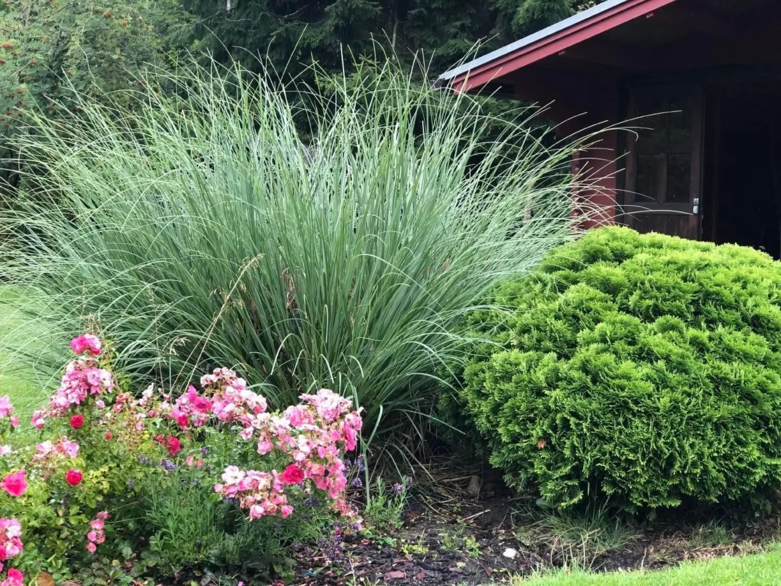 Natur-Image-tags.info