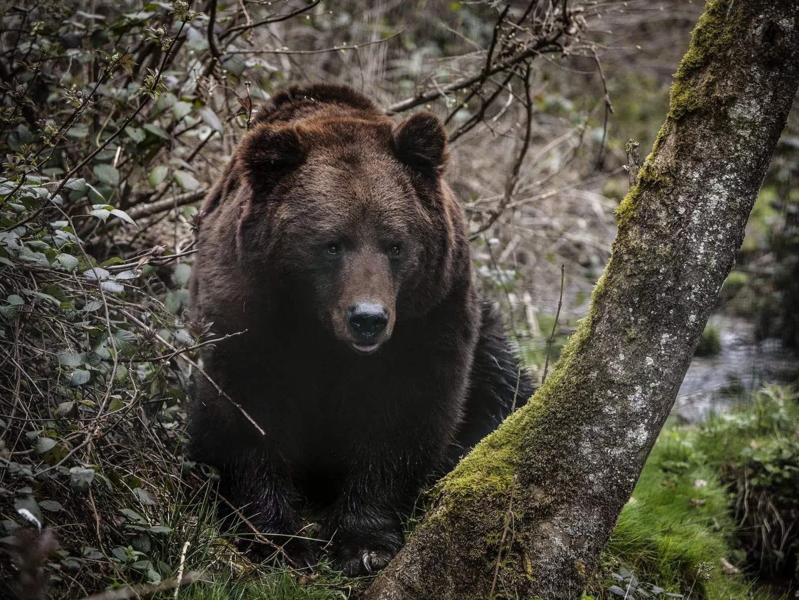 Landhaus Graf-Buiten