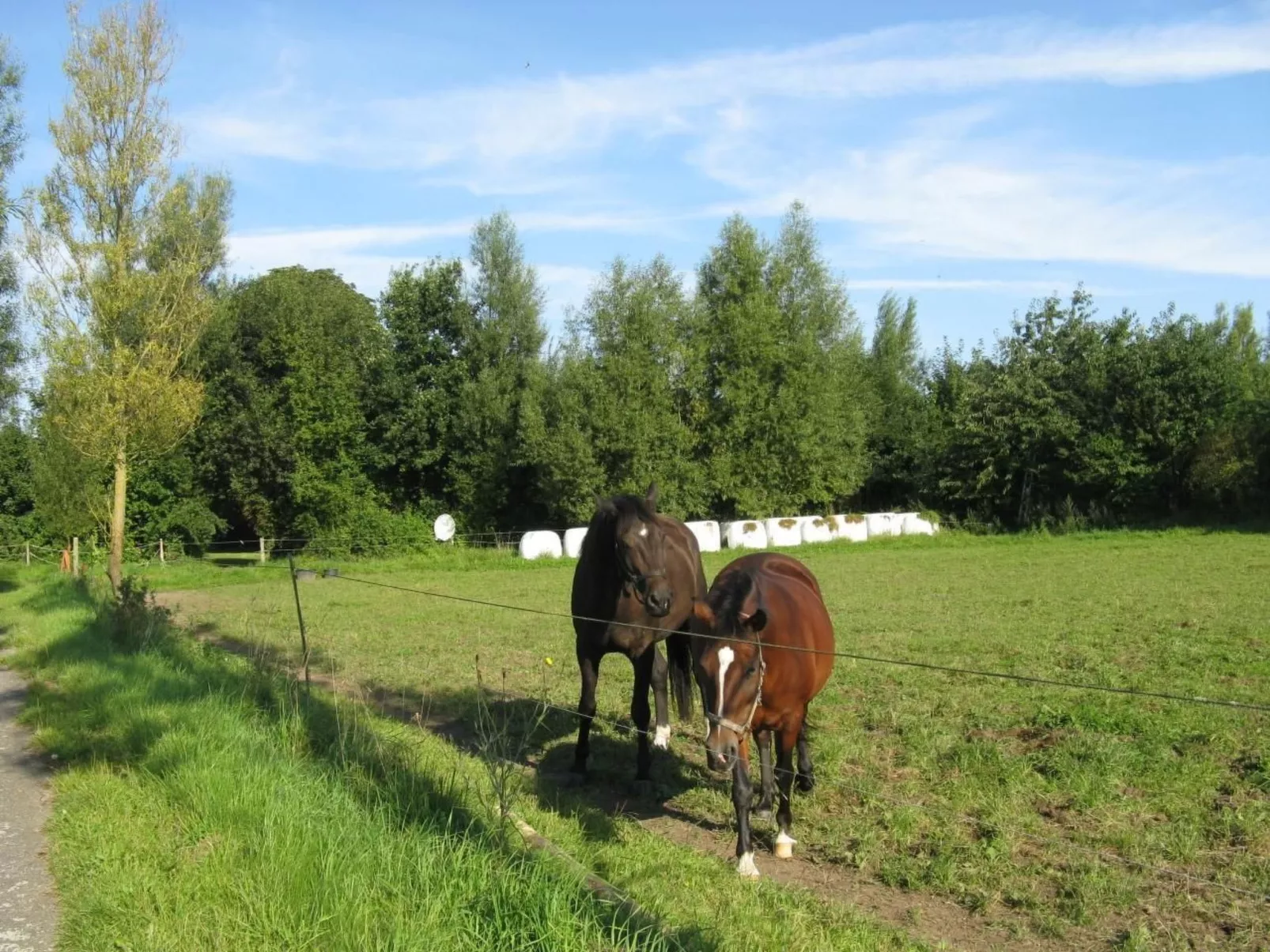 Gutshof-Ambiente 5-Buiten