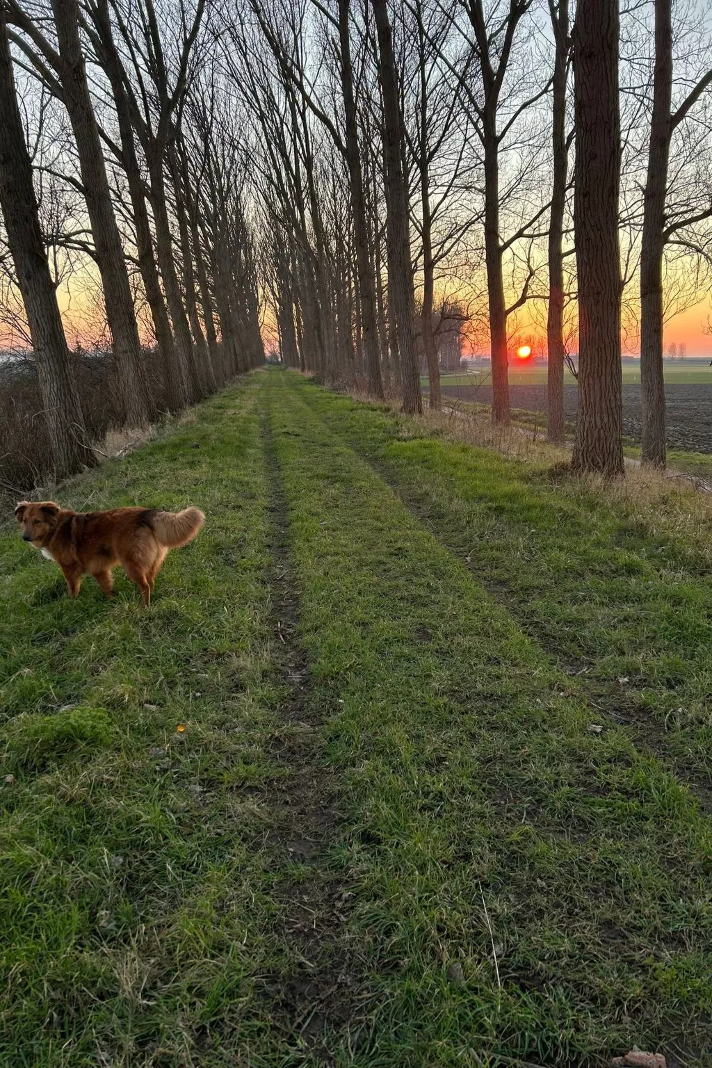 Luxus-App in der Scheune "Strandje groote Nol"-Buiten