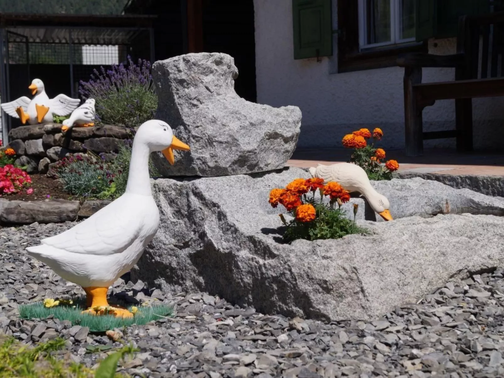 Chalet Alpenrösli - Buiten