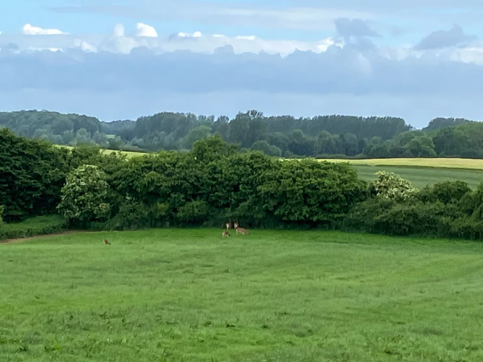 Appartement im Ostseebad Schönhagen-Buiten