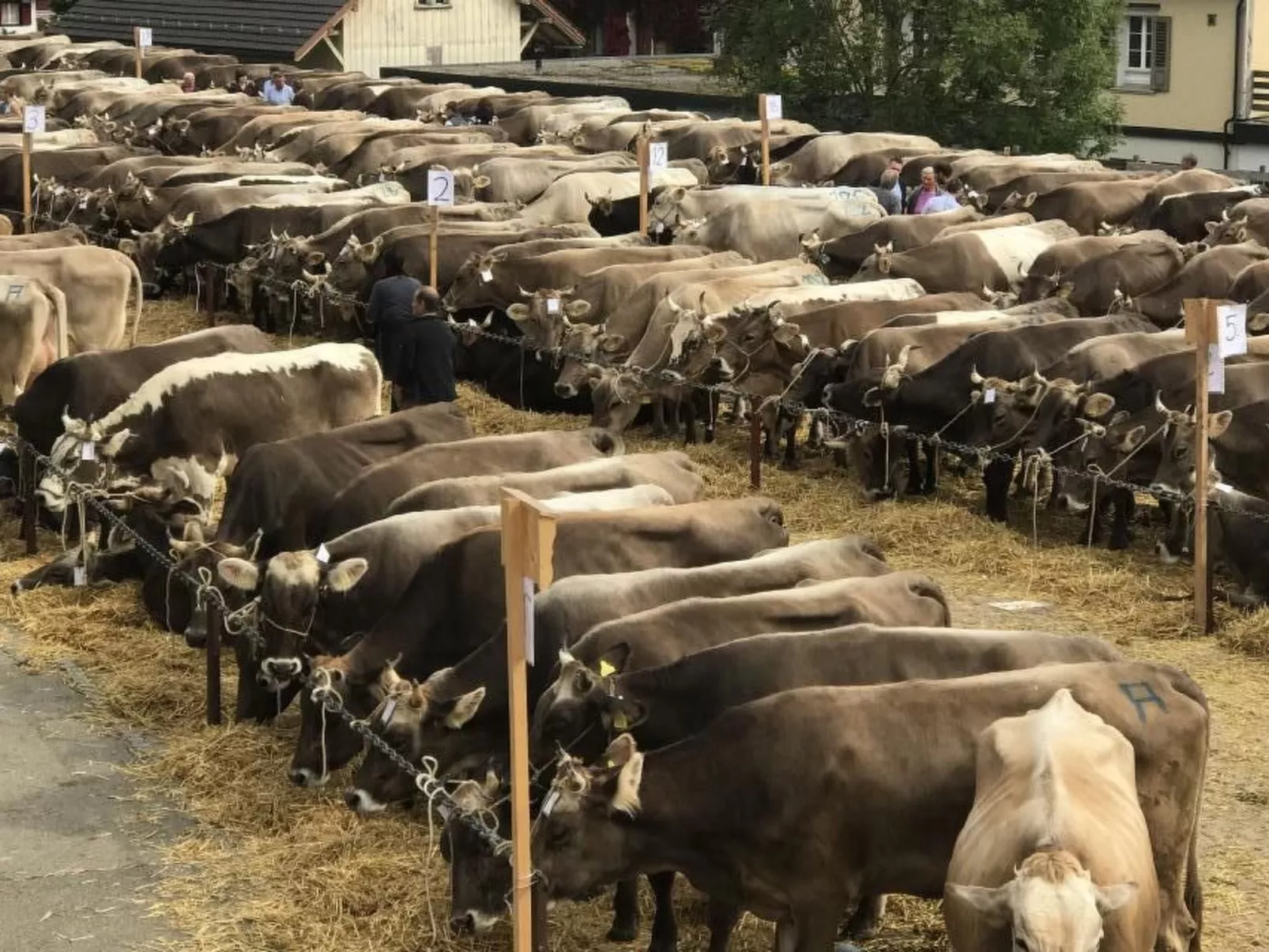 Im Dorf Urnäsch-Buiten