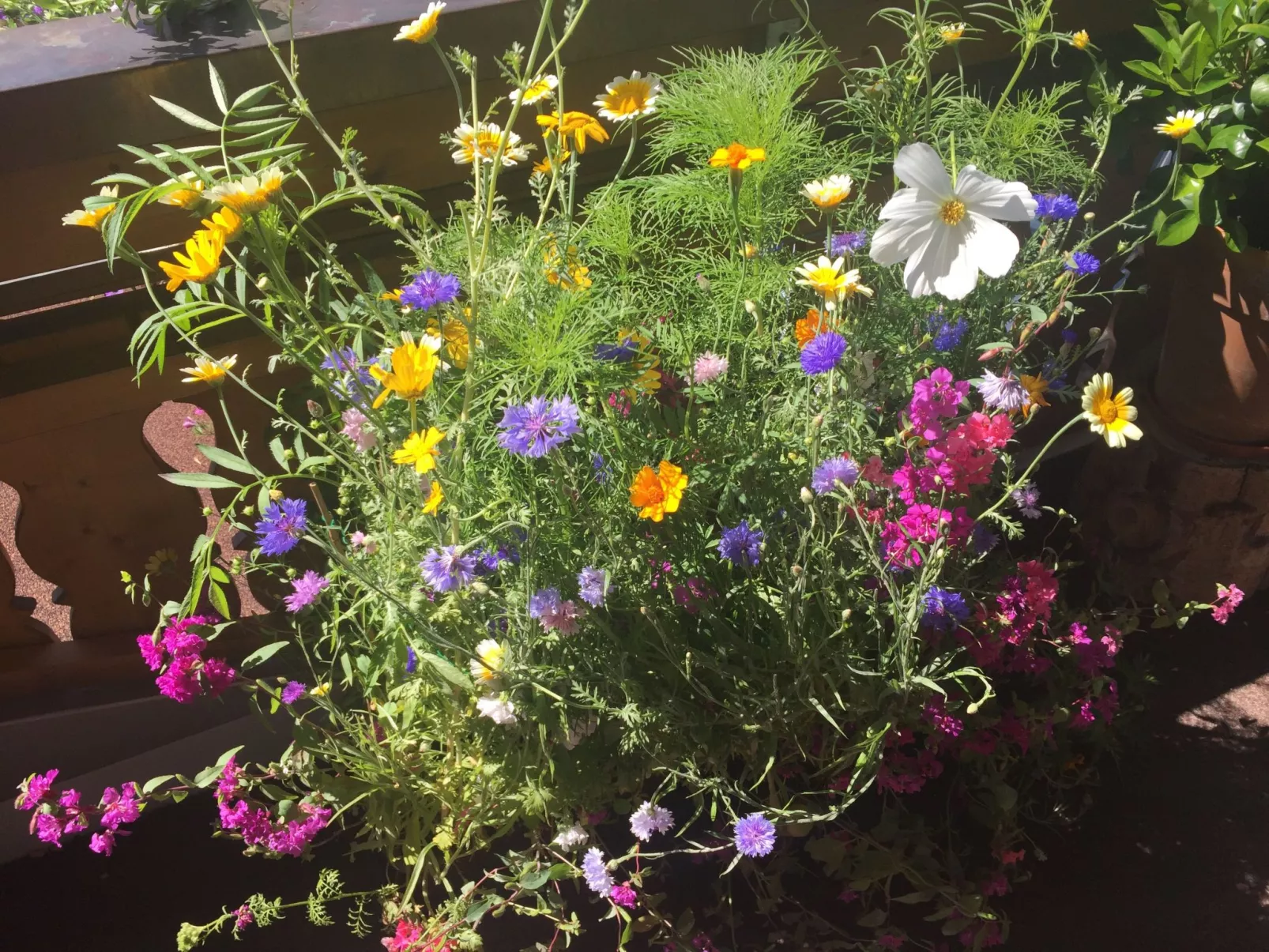 Fewo Bergblick lodge-Buiten