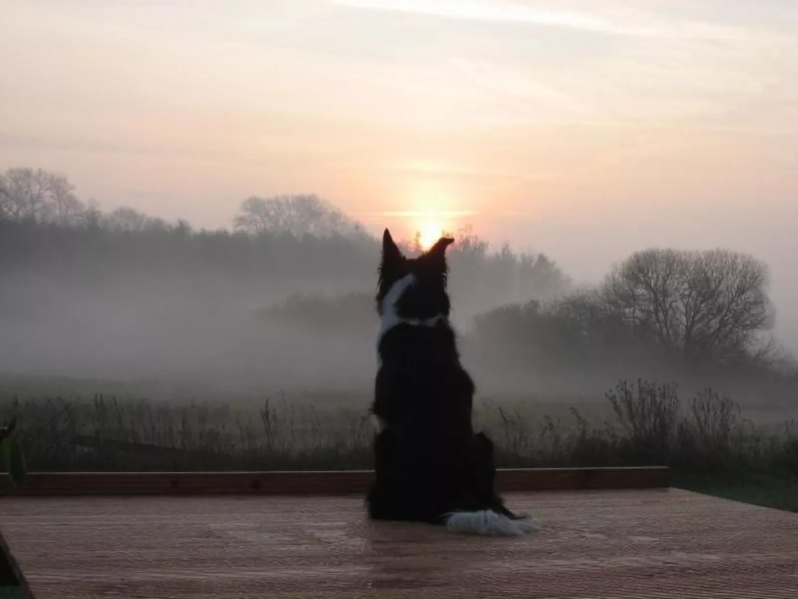 Haus-Zauberblau-Image-tags.info