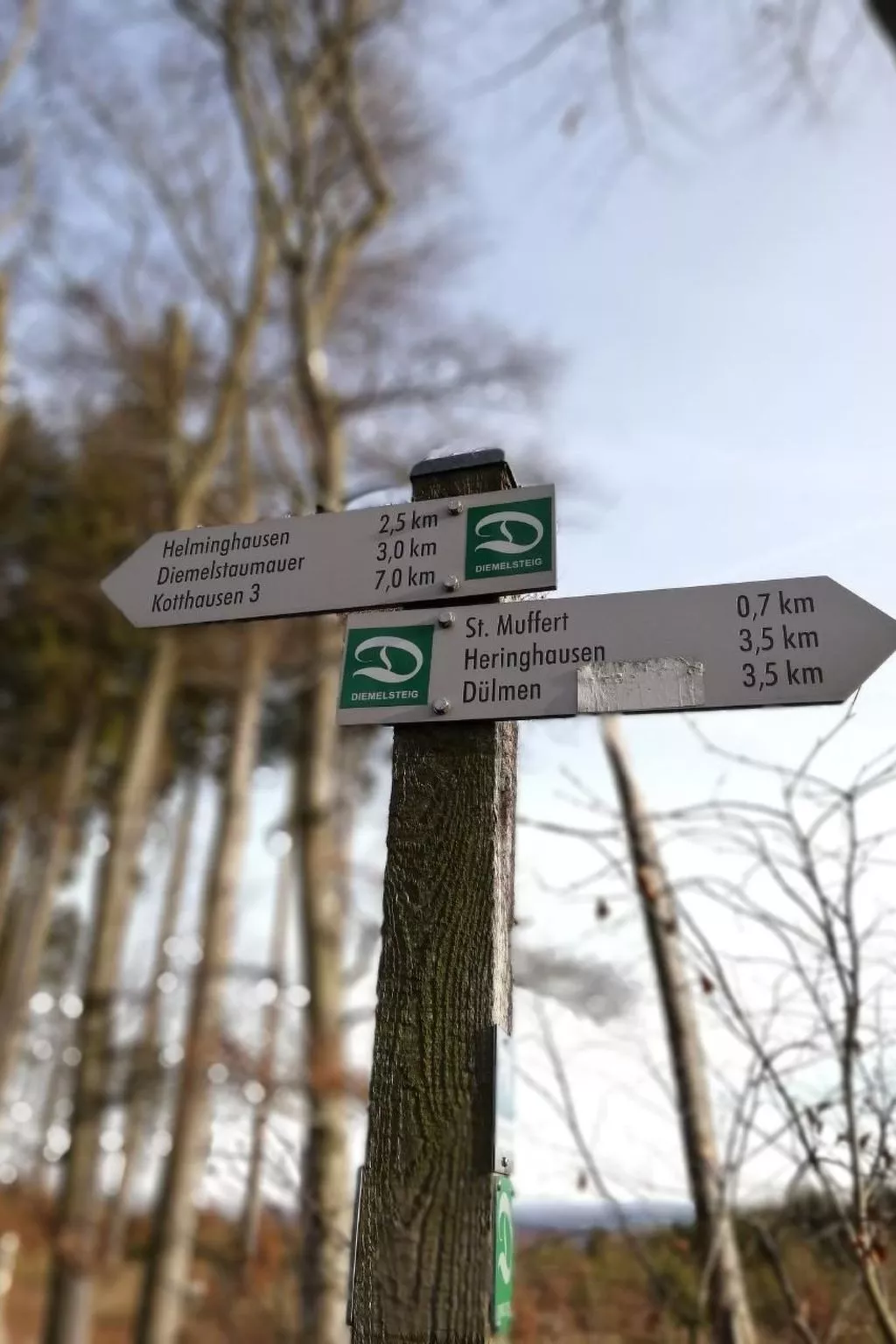 Haus Schnurbus - Buiten