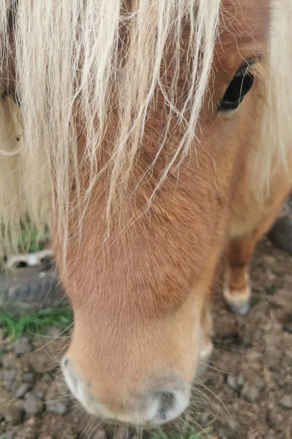 Herzfennerhof Loft-Image-tags.info