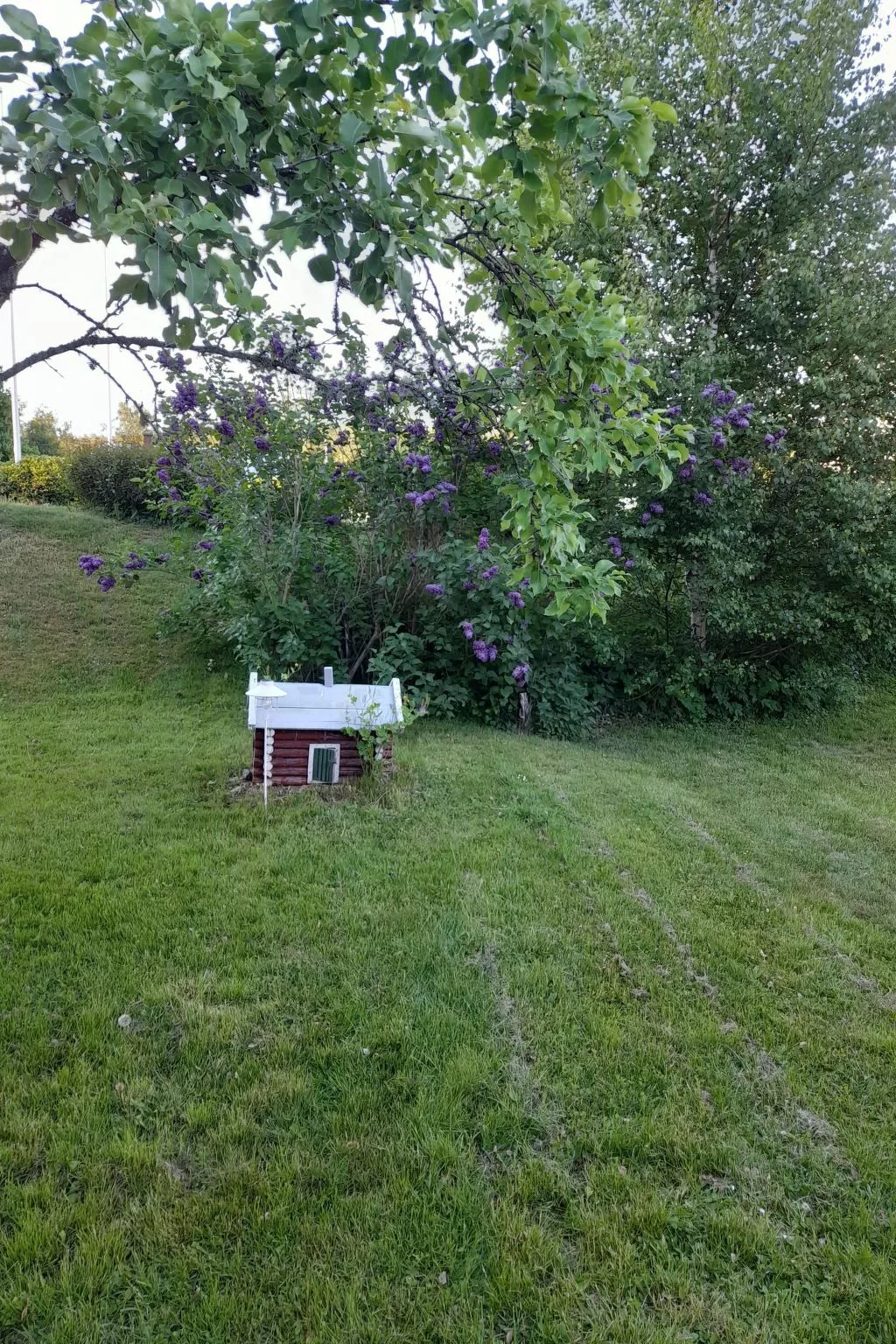 Typisch schwedisches Ferienhaus mit Garten-Buiten