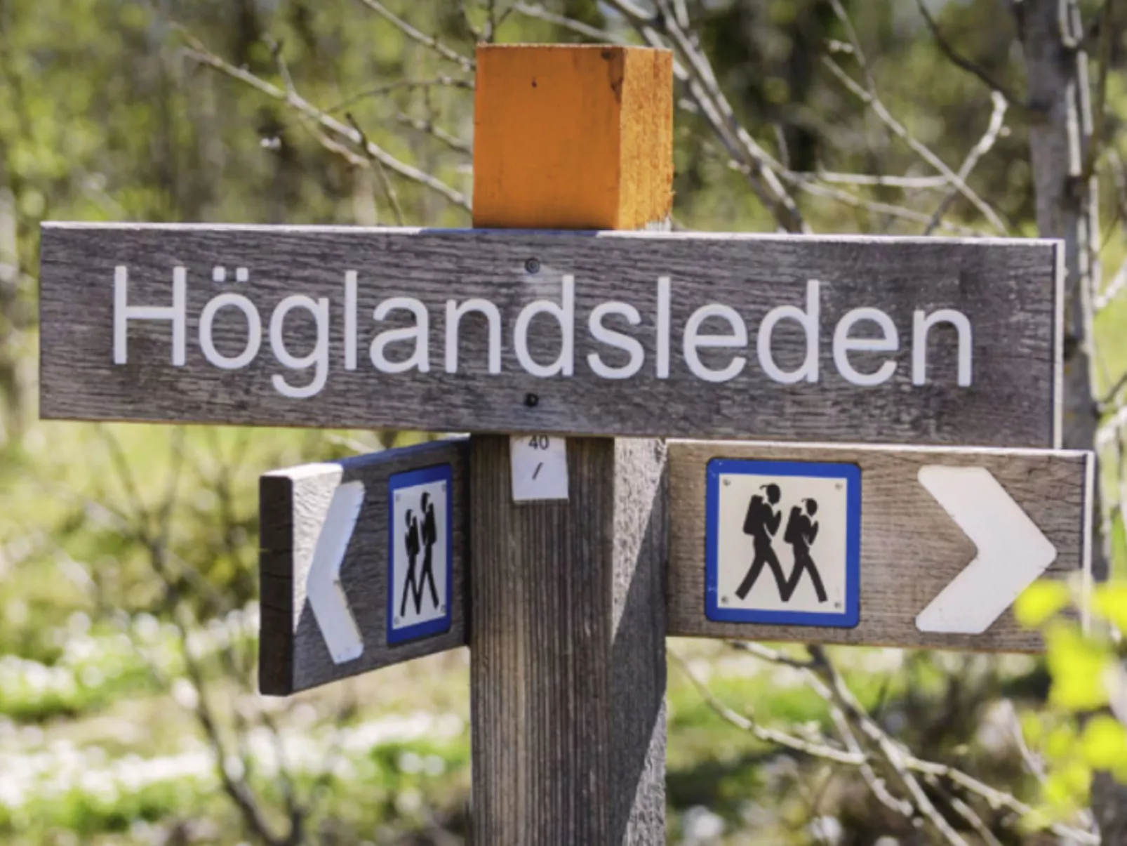 Gemütliches Ferienhaus Angermanland - höga Kusten-Buiten