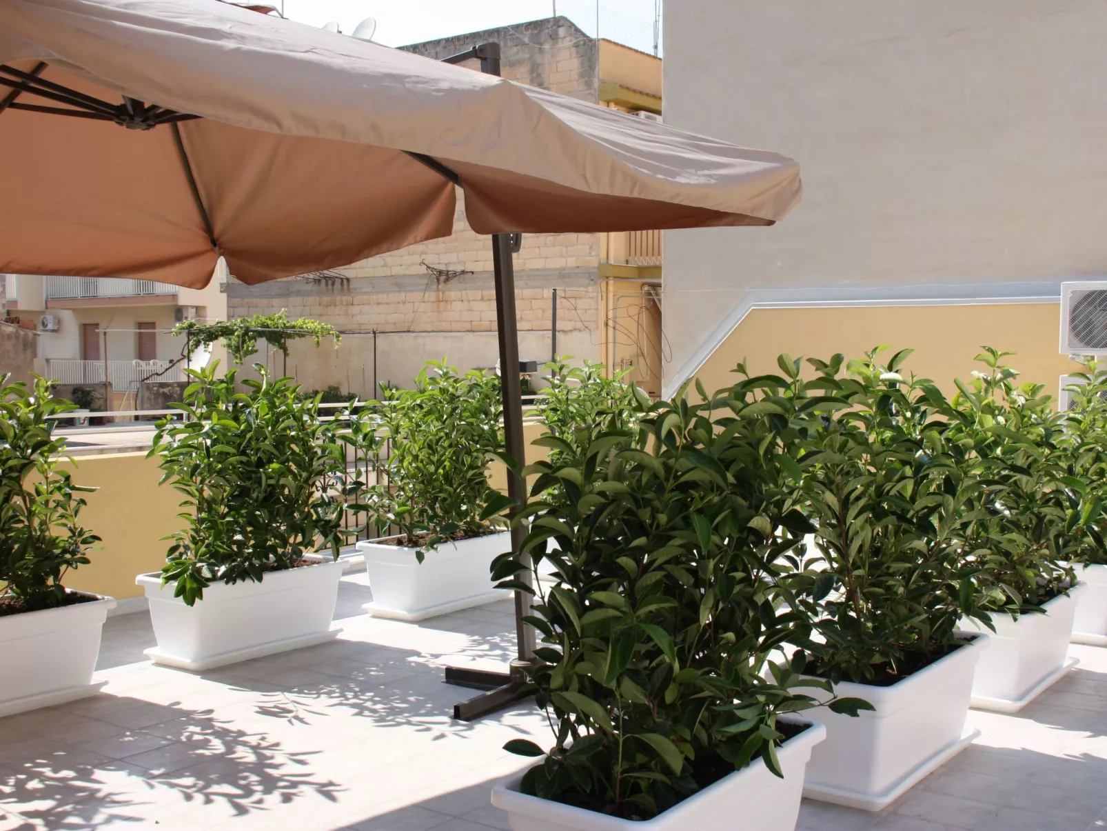 Komfortables, geräumiges und vor allem zentrales Haus-Image-tags.info