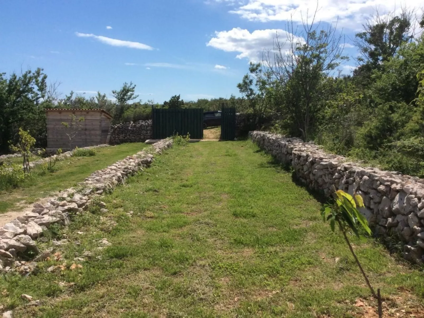 Mit Wasserblick-Image-tags.info