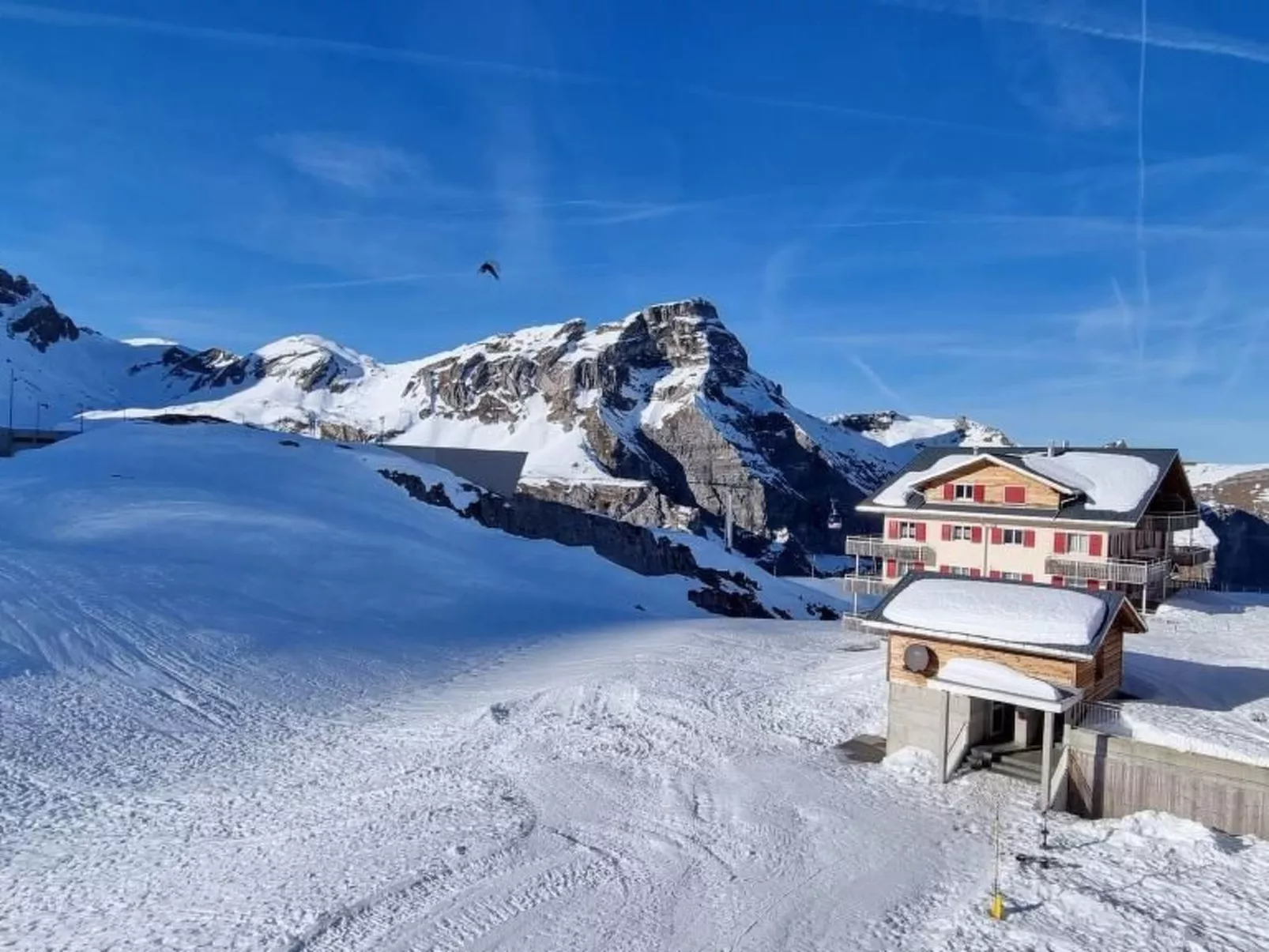 Frutt Alpine Home-Image-tags.info